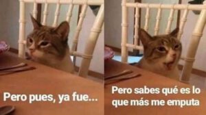 Img 6972 Los Mejores Memes Tras La Sesión De Bizarrap Y Shakira - 2026 - El Botón